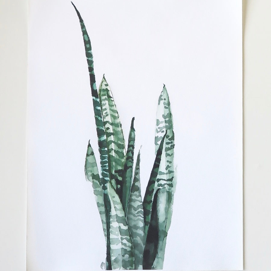 Succulent, Wall Art - Nomad Designs Online